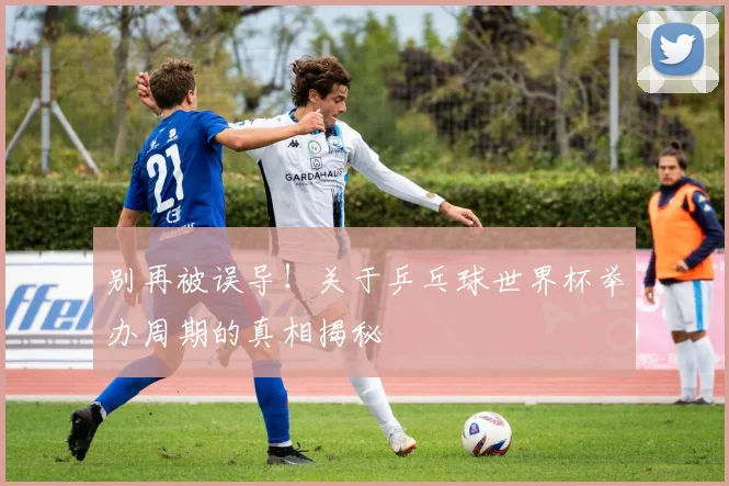 别再被误导！关于乒乓球世界杯举办周期的真相揭秘