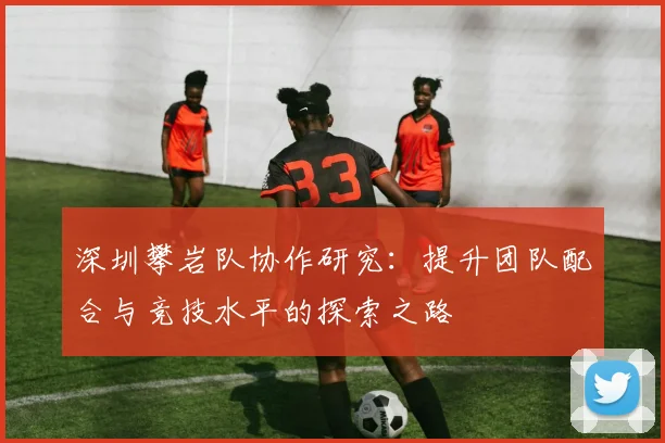 深圳攀岩队协作研究：提升团队配合与竞技水平的探索之路